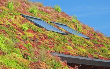 Halkirk living roof systems